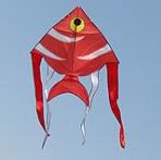 Angle Fish Delta Kite [Medium]